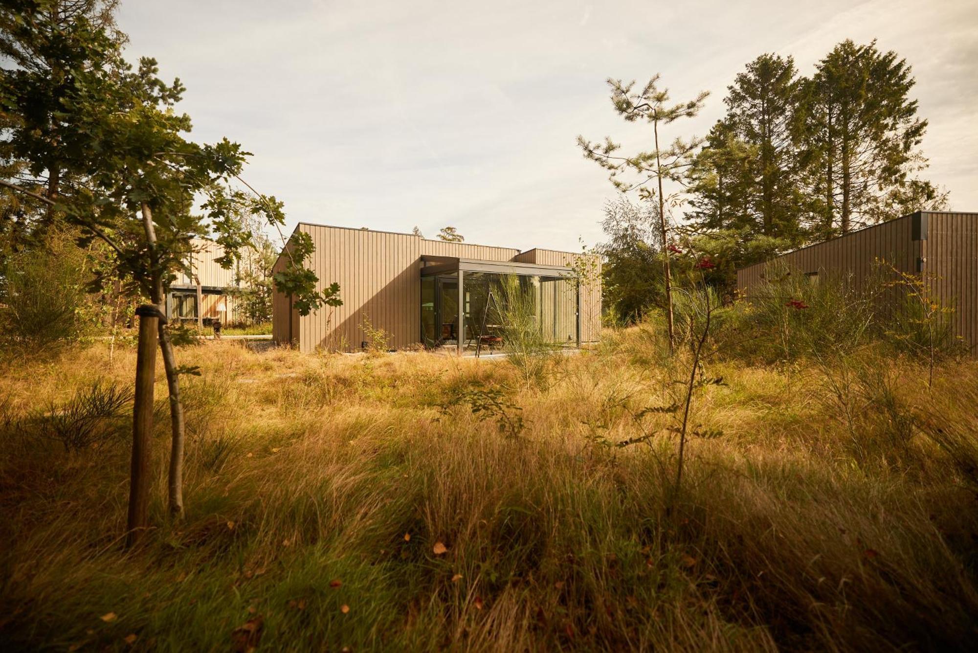 Zeegser Duinen Exterior foto